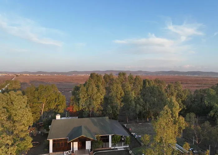 Laguna Park Divjake Wood Cabins